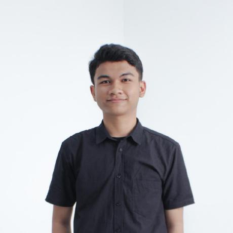 Developer 1